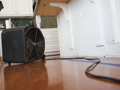 Professional mold remediation services in Union Star